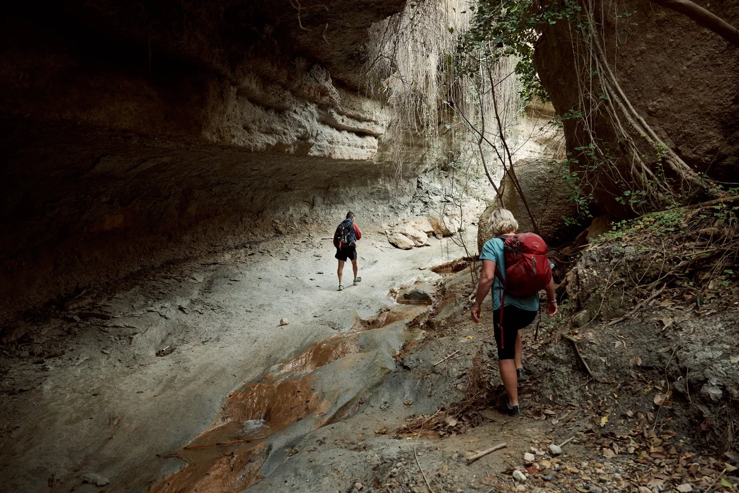 Hiking Holidays at Casa del Bienestar