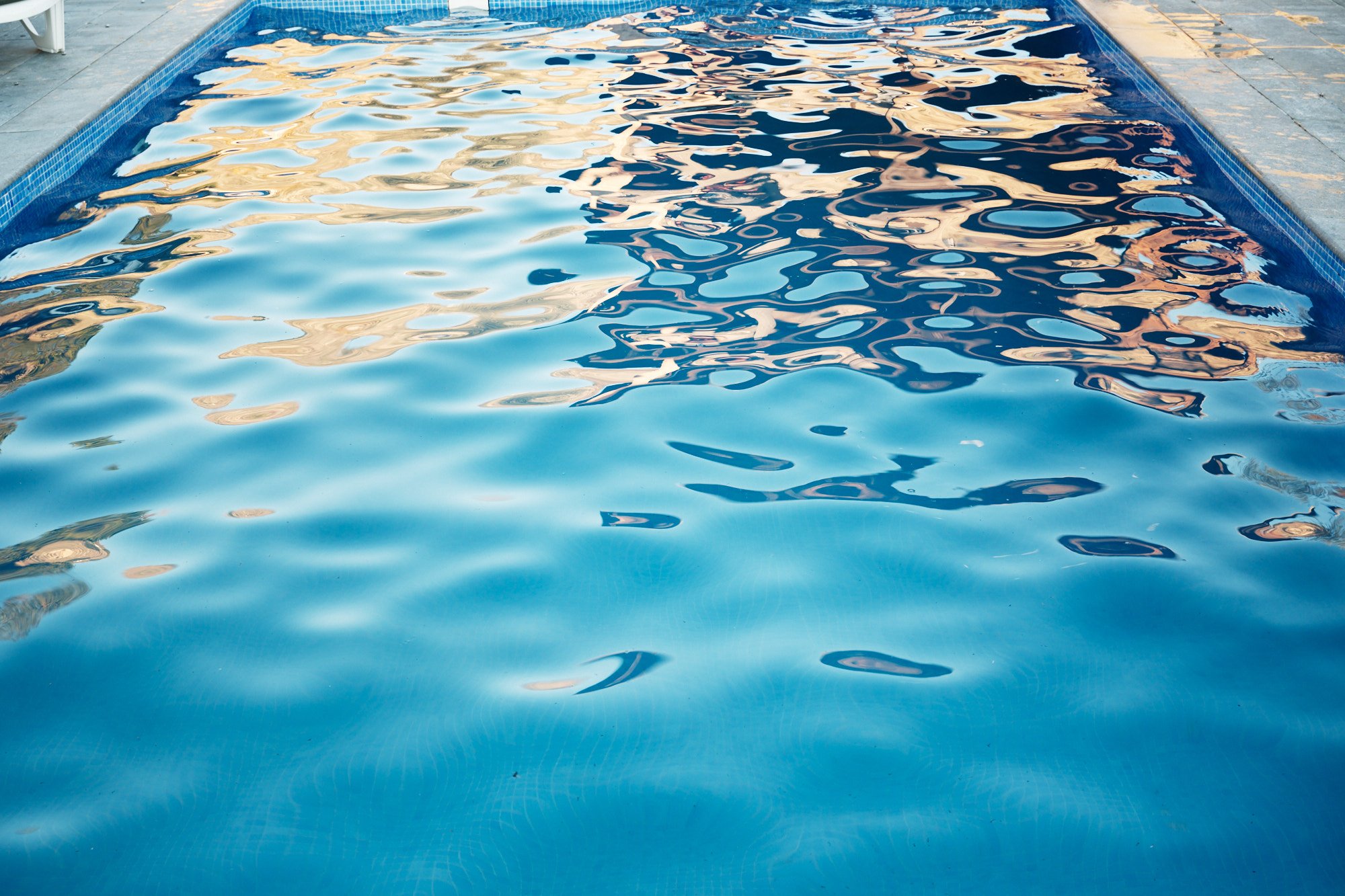Spring-fed salt water pool at Casa del Bienestar
